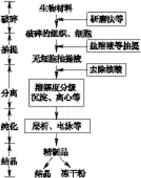 一、酶分离纯化的一般步骤